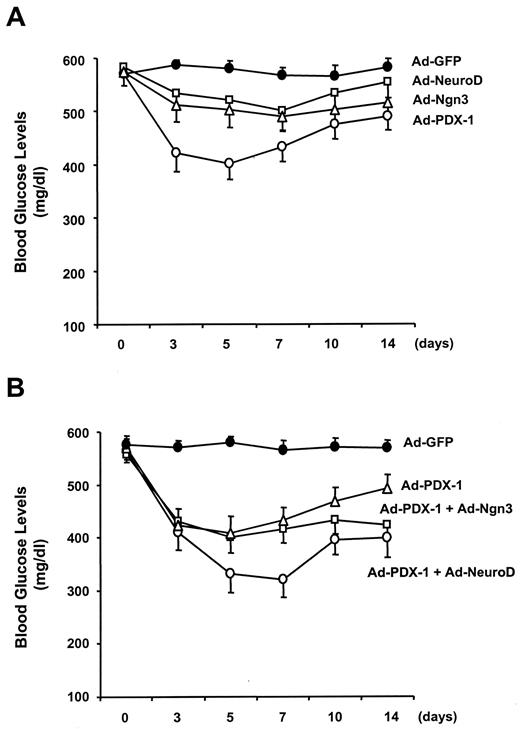 FIG. 3. Adenoviral PDX-1 expression in the liver, together with NeuroD or Ngn3, decreases blood glucose levels in diabetic animals. Male C57BL/6 mice were made diabetic with STZ and 1 week later infected with Ad–PDX-1, Ad-NeuroD, Ad-Ngn3, or Ad-GFP (A) and Ad–PDX-1 plus Ad-NeuroD or Ad-Ngn3 (B) (1 × 1010 PFU/ml). Nonfasting blood glucose levels were measured with a portable glucose meter after tail snipping. Data are means ± SE (n = 6).