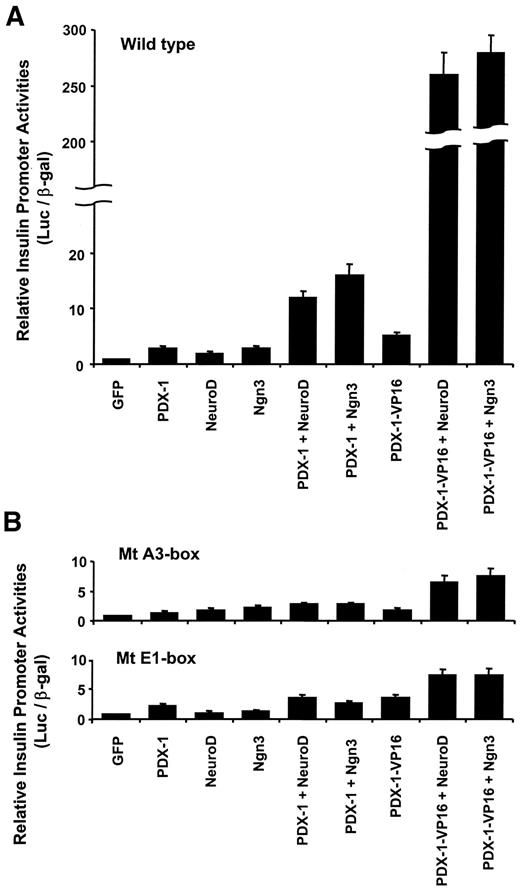 FIG. 4. PDX-1/VP16 expression, together with NeuroD or Ngn3, markedly increases insulin gene promoter activity in HepG2 cells. A: The rat insulin promoter-reporter (luciferase; Luc) plasmid and pSV-β-galactosidase control vector (β-gal) were cotransfected into HepG2 cells with the PDX-1, PDX-1/VP16, NeuroD, and/or Ngn3 expression plasmids (or empty vector). After 48 h, luciferase and β-galactosidase assays were performed. B: The A3-box− or E1-box−mutated rat insulin promoter-reporter plasmid and the pSV−β-galactosidase control vector were cotransfected into HepG2 cells with the PDX-1, PDX-1/VP16, NeuroD, and/or Ngn3 expression plasmids (or empty vector). After 48 h, luciferase and β-galactosidase assays were performed. The luciferase results were normalized with respect to the transfection efficiency assessed from the results of the β-galactosidase assays. Data are means ± SE, with the basal insulin promoter activity being arbitrarily set at 1 (n = 4).