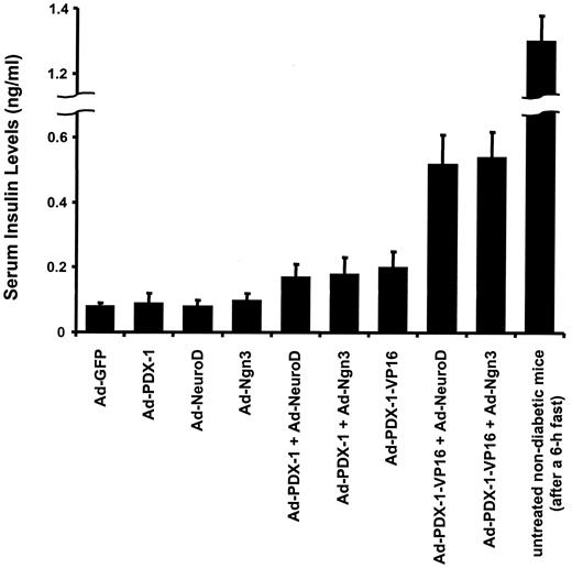 FIG. 8. Adenoviral PDX-1/VP16 expression in the liver, together with NeuroD or Ngn3, substantially increases serum insulin levels. Male C57BL/6 mice were made diabetic with STZ and 1 week later were infected with Ad–PDX-1, Ad–PDX-1/VP16, Ad-NeuroD, Ad-Ngn3, or Ad-GFP. After the adenovirus infection, we determined serum insulin levels. For reference, we show serum insulin levels after a 6-h fast in untreated nondiabetic mice. Data are means ± SE (n = 4).