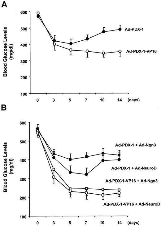 FIG. 10. Adenoviral PDX-1/VP16 expression in the liver, together with NeuroD or Ngn3, markedly decreases blood glucose levels in diabetic animals. Male C57BL/6 mice were made diabetic with STZ and 1 week later were infected with Ad–PDX-1 or Ad–PDX-1/VP16 (A) and Ad–PDX-1/VP16 plus Ad-NeuroD or Ad-Ngn3 (B) (1 × 1010 PFU/ml). Nonfasting blood glucose levels were measured with a portable glucose meter after tail snipping. Data are means ± SE (n = 6).