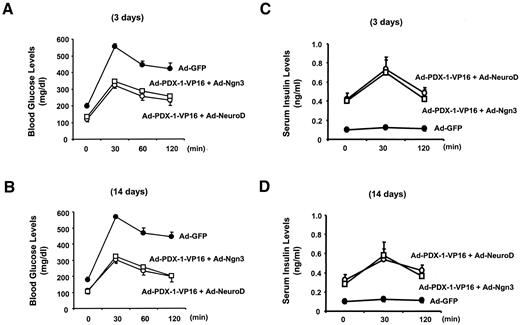 FIG. 11. Adenoviral PDX-1/VP16 expression in the liver, together with NeuroD or Ngn3, markedly ameliorates glucose tolerance in diabetic animals. Male C57BL/6 mice were made diabetic with STZ and 1 week later were infected with Ad-GFP or Ad–PDX-1/VP16 plus Ad-NeuroD or Ad-Ngn3 (1 × 1010 PFU/ml). An intraperitoneal glucose tolerance test was performed 3 and 14 days after the adenovirus infection. Blood glucose levels (A and B) and serum insulin levels (C and D) were measured 3 and 14 days after the adenovirus infection. •, Ad-GFP; ○, Ad–PDX-1/VP16 plus Ad-NeuroD; □, Ad–PDX-1/VP16 plus Ad-Ngn3. Data are means ± SE (n = 4).