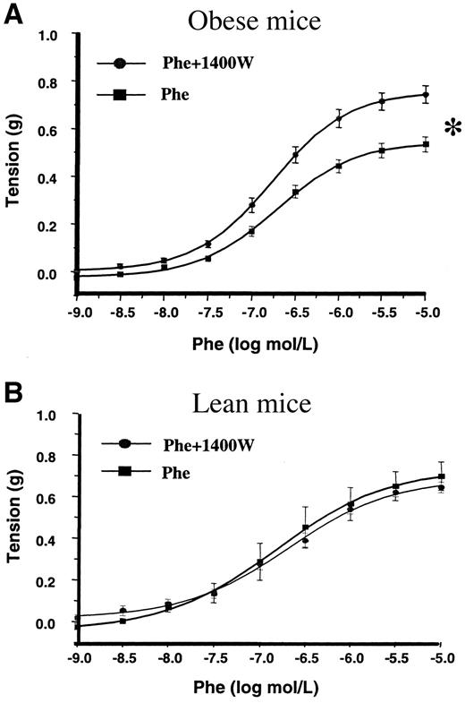 FIG. 1. Constrictor response to the specific iNOS inhibitor 1400W in mice fed a high-fat diet for 8 weeks (A) and lean mice fed a standard diet (B). *P < 0.01 by ANOVA (n = 8–16). Phe, phenylephrine.