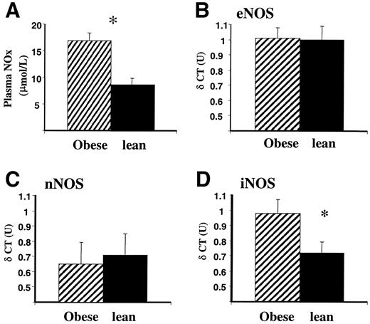 FIG. 2. A: Plasma nitrite levels in obese and lean mice after 8 weeks of high-fat feeding. *P < 0.01. Real-time PCR measurement of mRNA levels of eNOS (B), nNOS (C), and iNOS (D) from aorta of obese and lean mice. *P = 0.03 (n = 8 in each group).