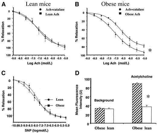 FIG. 3. A: Relaxation curves to acetylcholine (Ach) in lean mice at 8 weeks before and after catalase (1,250 units/l) was given. B: Relaxation curves to acetylcholine in obese mice before and after catalase was given after 8 weeks of high-fat feeding. *P < 0.01 by ANOVA. C: Relaxation curves to SNP in lean and obese mice at 8 weeks. There was no difference between groups (n = 8–16 in each group). D: Mean DHE fluorescence intensity in lean and obese mice. *P < 0.0001.