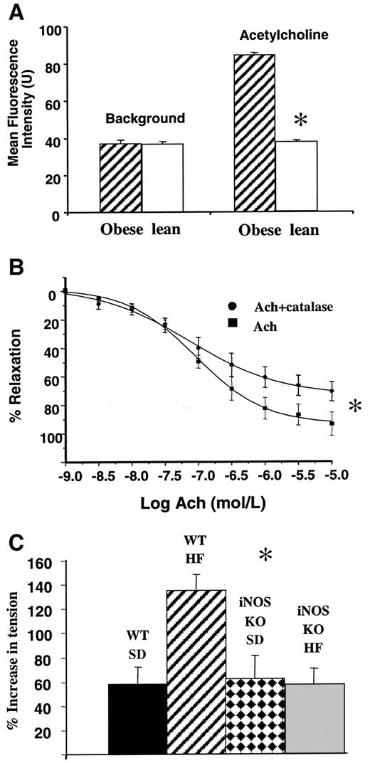 FIG. 6. ROS production and effect of catalase in iNOS KO mice. A: In situ DHE detection of ROS production in obese and lean iNOS KO mouse aortic sections (n = 18 sections from six mice in each group). A similar pattern was seen to that observed in WT mice, with no difference in basal ROS between mice fed a standard diet and those fed a high-fat diet, but a significant increase in ROS in response to acetylcholine was seen in the high-fat–fed iNOS KO mice. *P < 0.001. B: Relaxation curve to acetylcholine (Ach) before and after exposure to catalase in iNOS KO mice fed a high-fat diet for 8 weeks. *P < 0.01. C: Constrictor response to l-NMMA in lean mice fed a standard diet (SD), obese mice fed a high-fat (HF) diet, iNOS KO mice fed a standard diet, and iNOS KO mice fed a high-fat diet. *P < 0.01 by ANOVA (n = 8–16). The constrictor response to l-NMMA in WT mice fed a high-fat diet was significantly greater than that of each of the other mice.