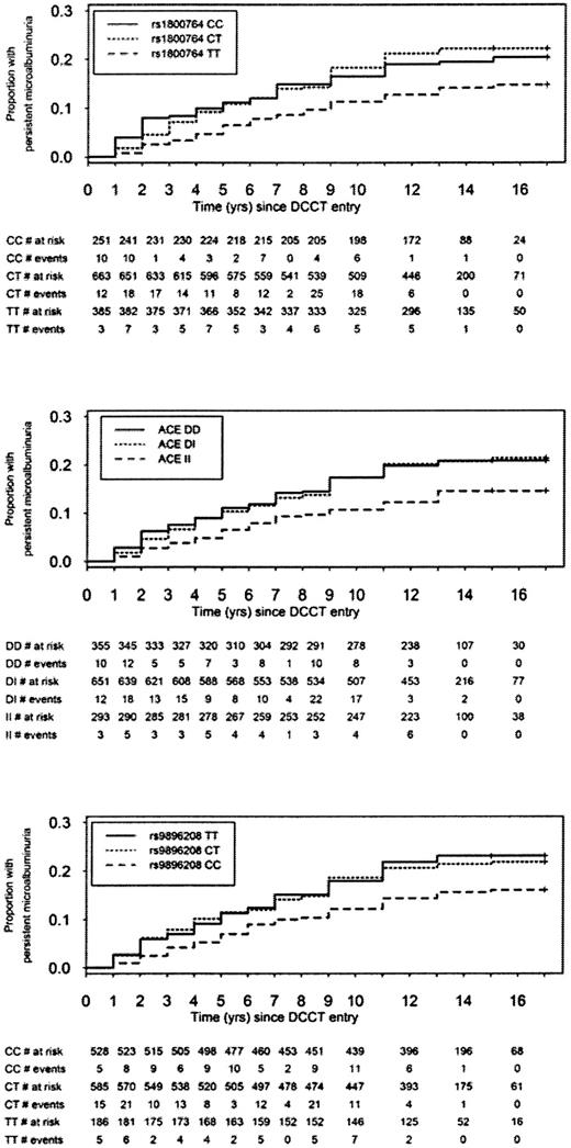 FIG. 1. Cumulative incidence of persistent microalbuminuria according to ACE genotype. The time was calculated from DCCT baseline to the first consecutive timed AER collection >20.8 μg/min in the DCCT or EDIC follow-up periods in individuals genotyped for three ACE polymorphisms: rs1800764, insertion/deletion, and rs9896208. For univariate analysis, see Table 2.