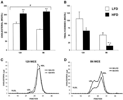 FIG. 1. High-fat feeding leads to hypercholesterolemia but decreased serum triglycerides. Serum from 129 and B6 mice on an HFD or LFD for 16 weeks was taken after a 6-h fast. Cholesterol (A) and triglyceride (B) content was measured; serum was also subjected to FPLC, and the cholesterol content of the eluted fractions was measured (C and D) (n = 3–4). *P < 0.05 for strain effect; +P < 0.05 for diet effect; #P < 0.05 for their interaction. Double symbols indicate P < 0.005.