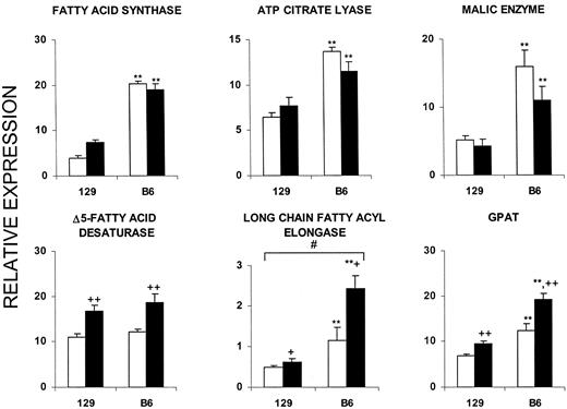FIG. 4. B6 background and HFD are associated with increased lipogenic gene expression. Microarray analysis was used to determine the changes in hepatic lipogenic gene expression (n = 4 Mu74Av2 chips per group, with each chip representing one to two mice). *P < 0.05 for strain effect; +P < 0.05 for diet effect; #P < 0.05 for their interaction. Double symbols indicate P < 0.005. □, LFD; ▪, HFD. GPAT, glycerol-3-PO4 acyltransferase.