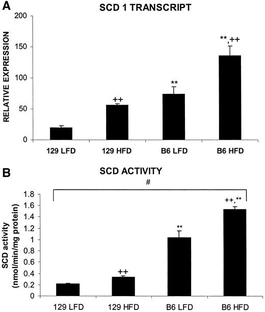 FIG. 6. SCD transcript and activity is increased by HFD and B6 genetic background. Expression of the SCD1 transcript (A) was quantitated using oligonucleotide microarrays, whereas SCD activity (B) was measured as the production of oleate from stearate by liver microsomes prepared from the mice described in Table 1. n = 4 chips or 4 mice in Fig. 6A and B, respectively. *P ≤ 0.02 for strain effect; +P ≤ 0.02 for diet effect; #P ≤ 0.02 for their interaction. Double symbols indicate P < 0.002.