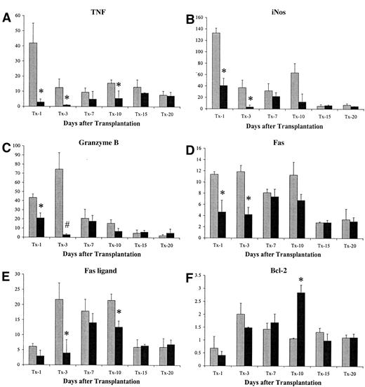 FIG. 4. Effects of donor treatment with CO on the pro-inflammatory response in islets after transplantation. Analysis by real-time RT-PCR at various days after islet transplantation showed CO administration only to the donor led to decreased mRNA expression of TNF-α (A), iNOS (B), granzyme B (C), Fas (D), and Fas ligand (E) and an increase of bcl-2 (F) compared with untreated controls. Results shown are the mean ± SD from three islet grafts at each time point. Values are expression level of genes of interest in the analyzed graft compared with freshly isolated nontreated islets. , islet grafts from untreated donors; ▪, grafts from CO-treated donors. *P < 0.05, #P < 0.01 vs. control.