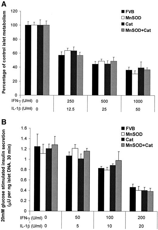 FIG. 6. MnSOD and/or catalase do not provide protection against cytokine toxicity. A: Cytokine-induced reduction in islet cell viability was measured by the Alamar Blue assay. Transgenic and control FVB islets were exposed to the indicated concentrations of IL-1β and IFN-γ for 6 days. B: Inhibition of glucose-stimulated insulin secretion was measured in islets exposed to the indicated concentrations of cytokines for 18 h. Data are the means ± SE calculated from 6 to 12 independent measurements obtained using three to five islet preparations per group. Cat, catalase.