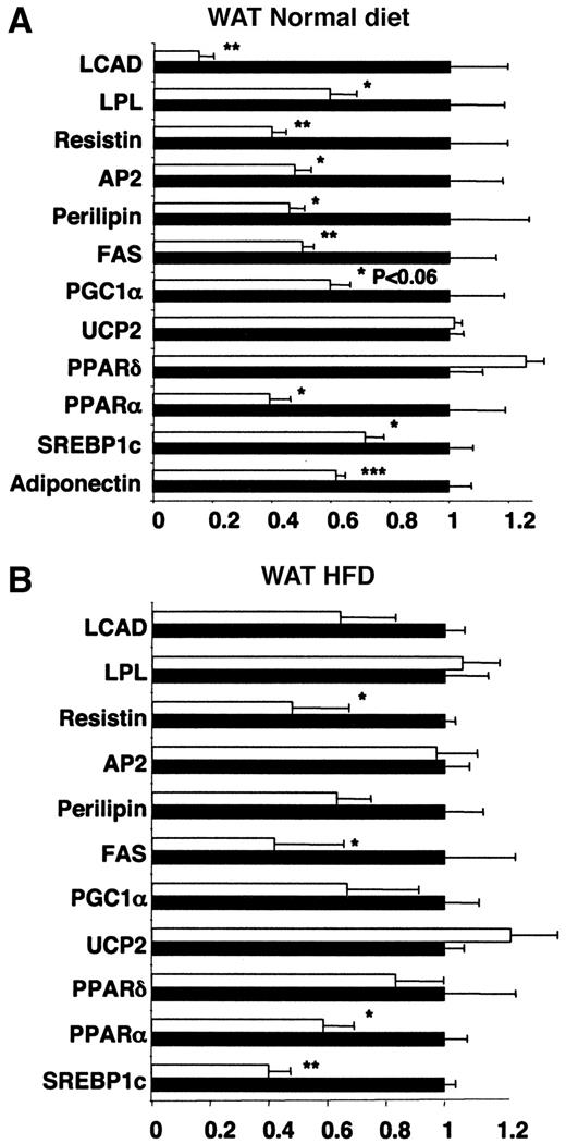 FIG. 4. Gene expression analysis of PPARγ2-deficient WAT. Adipose tissue mRNA levels determined by real-time PCR of different genes from 16-week-old male wild-type (▪) and PPARγ2 knockout (□) mice fed a normal diet (A) and an HFD (B). All wild-type values normalized to one for each gene (n = 5–7). *P < 0.05; **P < 0.01.