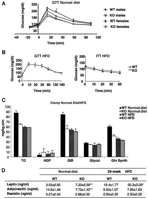 FIG. 6. Effect of PPARγ2 deletion on insulin sensitivity. A: Plasma glucose levels during GTT in 16-week-old male and female mice fed a normal diet (n = 7). *P < 0.05 vs. wild type. B: Plasma glucose levels during GTT and ITT in male wild-type (•) and PPARγ2 knockout (○) mice fed 28 weeks of an HFD. C: Whole-body metabolic parameters during the euglycemic-hyperinsulinemic clamp experiment. Glucose turnover (TO), hepatic glucose production (HGP), glucose infusion rate (GIR), glycolysis (Glycol), and glycogen synthesis (Gln synth). Rates were obtained from male mice fed a normal diet (normal diet, n = 7) and an 28-week HFD (n = 6). D: Plasma adipokines levels from 32-week-old male wild-type and PPARγ2 knockout mice fed a normal diet and an HFD. KO, knockout; WT, wild type.