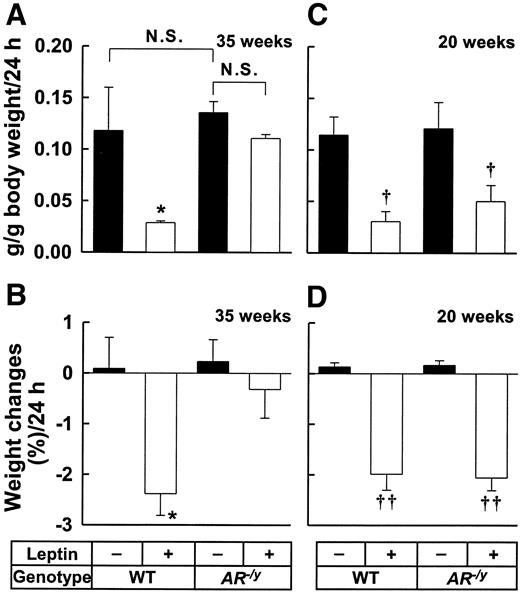 FIG. 4. Aging AR−/y mice developed leptin resistance but not younger mice. Two groups of 35- or 20-week-old mice received an intraperitoneal injection of either leptin (5 μg/g body wt) or isotonic saline. A: Food intake per 24 h of 35-week-old mice. B: Weight changes per 24 h of 35-week-old mice. C: Food intake per 24 h of 20-week-old mice. D: Weight changes per 24 h of 20-week-old mice. Values are the means ± SE from 3–4 mice per group. *P < 0.05, wild type with leptin vs. control; †P < 0.05, leptin treatment vs. control; ††P < 0.001, leptin treatment vs. control. N.S., no significance; WT, wild type.