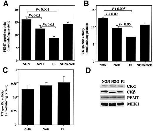 FIG. 1. The F1 metabolic milieu depresses hepatic PEMT and choline kinase (CK) activities but not cholinephosphate cytidylyltransferase (CT) activity. A: Specific activity of PEMT in total liver homogenates. B: Specific activity of choline kinase in postmicrosomal fractions. C: Specific activity of cholinephosphate cytidylyltransferase in total liver homogenates. Each bar represents the mean ± SE with four to five mice of each strain. Note that 1:1 admixture of NON + NZO homogenates for PEMT and choline kinase did not exhibit the suppressed activity evident in the same two fractions from F1 liver. D: Western blot analysis showing comparable levels of enzyme protein among the three genotypes compared (NON, NZO, and F1). This blot is representative of three independent replications. MEK1, MAP/ERK-1 kinase.