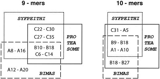 FIG. 2. Venn diagram visualizing algorithm predictions and proteasome generation for the 10 selected candidate epitopes. Inclusion in the proteasome box indicates at least a single cleavage event after the peptide COOH-terminal, as shown in Fig. 1. Inclusion in the SYFPEITHI or BIMAS boxes indicates that the peptide was among the 10 peptides with the highest scores predicted by the algorithm.