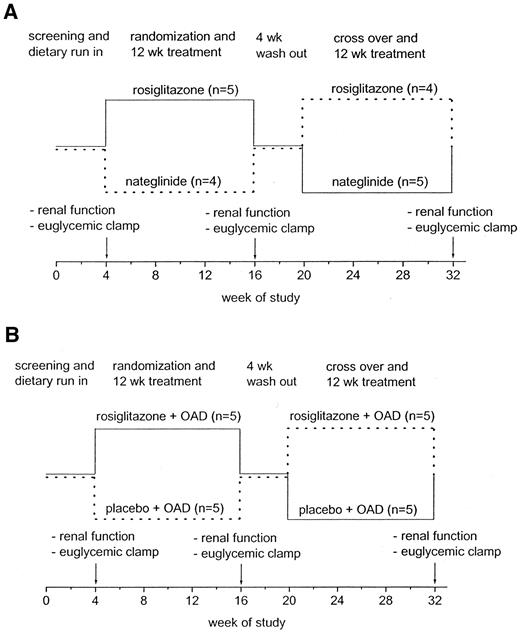FIG. 1. Flow chart of the study protocol. A: Patients without microalbuminuria (n = 9). B: Patients with microalbuminuria (n = 10). OAD, previous oral antidiabetic drugs. Renal function: PAH clearance and inulin clearance before and after l-NMMA. OADs of microalbuminuric patients were kept unchanged throughout the study.