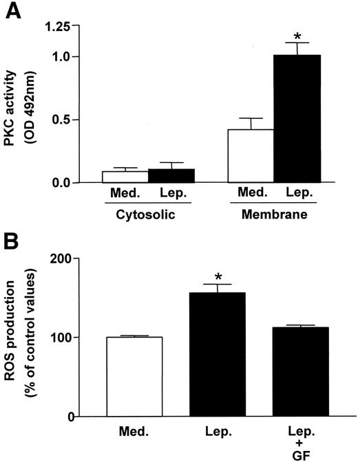 FIG. 3. Role of PKC in leptin-induced ROS generation. A: HASMCs were incubated with leptin (Lep) (100 ng/ml) for 30 min. Cytosolic and membrane PKC activities were measured using the MESACUP protein kinase assay kit. B: HASMCs were pretreated for 1 h with the specific PKC inhibitor GF10923X (GF; 20 nmol/l) and then exposed to leptin (Lep) for 24 h, with 20 μg/ml DCF-DA added during the final 20-min incubation period. Intracellular ROS generation was quantified by measuring fluorescence. Data represent the means ± SE of four independent experiments. *P < 0.05 vs. medium (Med).