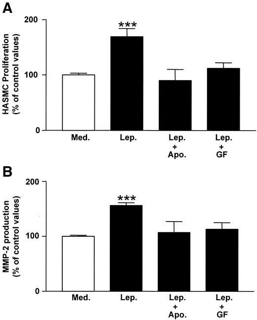 FIG. 4. Effect of NAD(P)H oxidase and PKC inhibitors on leptin-induced HASMC proliferation and MMP-2 expression. HASMCs were pretreated for 1 h with the NAD(P)H oxidase inhibitor apocynin (Apo; 10 μmol/l) or the specific PKC inhibitor GF10923X (GF; 20 nmol/l) and then exposed for 72 h to 100 ng/ml leptin (Lep). At the end of this incubation period, HASMC proliferation (A) and levels of MMP-2 in the supernatants (B) were determined. Data represent the means ± SE of four independent experiments. ***P < 0.001 vs. medium (Med).