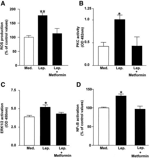 FIG. 7. Inhibitory effect of metformin on leptin-induced ROS generation and PKC, MAPK, and NF-κB activation. Subconfluent (A) or confluent (B–D) HASMCs were preincubated for 1 h with metformin (1–5 μg/ml) and then exposed for 24 h (A) or 30 min (B–D) to 100 ng/ml leptin (Lep). Intracellular ROS generation was quantified by measuring fluorescence (A). Determination of PKC (B), ERK1/2 (C), and NF-κB (D) activation was performed as described in research design and methods. Data represent the means ± SE of four independent experiments. *P < 0.05, **P < 0.01 vs. medium (Med).