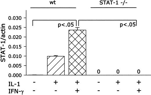 FIG. 1. STAT-1 gene expression in wild-type islet cells and STAT-1−/− islet cells after exposure to inflammatory cytokines for 24 h. mRNA was isolated from islets of wild-type and STAT-1−/− mice and analyzed by real-time PCR. mRNA levels (the ratio between STAT-1 and β-actin) are expressed as means ± SE from three to four independent experiments. P value versus control wild-type islets (no cytokines added) and P value versus cytokine-treated wild-type islets (IL-1β + IFN-γ added).