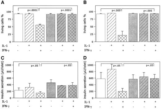 FIG. 2. Cell viability (A and B) and medium insulin release (C and D) in wild-type islet cells (white bars) and STAT-1−/− islet cells (gray bars) after exposure to inflammatory cytokines. Cell viability was determined at 48 h (A) and 5 days (B) after cytokine exposure with the nuclear dyes Hoechst 342 and propidium iodide. Insulin released in the medium was determined after 24 h (C) as well as after 48 h (D) of cytokine exposure by ELISA. Values indicate either the percentage of viable cells (A and B) or the medium insulin secretion (C and D) and are the mean of five independent experiments. P value versus control wild-type islets (no cytokines added) and P value versus cytokine-treated wild-type islets (IL-1β + IFN-γ added).