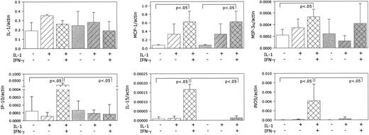FIG. 3. Gene expression in wild-type islet cells (white bars) and STAT-1−/− islet cells (gray bars) after exposure to inflammatory cytokines for 24 h. mRNA was isolated from islets of wild-type and STAT-1−/− mice and analyzed by real-time PCR. mRNA levels (the ratio between the gene of interest and β-actin) are expressed as means ± SE from three to four independent experiments. P value versus control wild-type islets (no cytokines added), P value versus cytokine-treated wild-type islets (IL-1β + IFN-γ added), and P value versus control STAT-1−/− islets (no cytokines added).