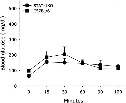 FIG. 4. Intraperitoneal glucose tolerance tests in overnight-fasted 8-week-old wild-type (▪) and STAT-1−/− (•) mice. Mice were challenged with 2 g glucose i.p., and blood glucose was recorded from tail vein samples at 15, 30, 60, 90, and 120 min. Normal glucose tolerance was demonstrated in wild-type and STAT-1−/− mice. Data expressed as means ± SE of three independent experiments.