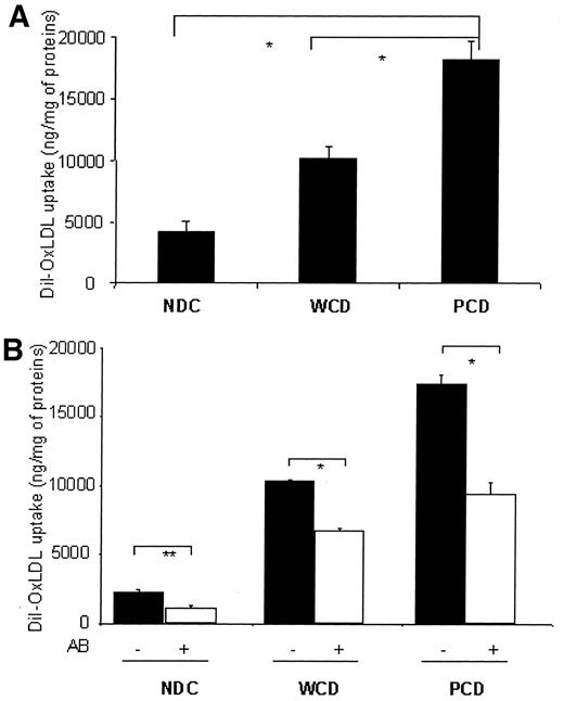 FIG. 3. DiI-OxLDL uptake by CD14+ circulating monocytes. CD14+ monocytes from control subjects (NDC), well-controlled diabetic patients (WCD), and poorly controlled diabetic patients (PCD) were incubated in presence of DiI-OxLDL (50 μg/ml) alone (A) or with an anti-CD36 monoclonal antibody (20 μg/ml) (B) for 4 h at 4°C or 37°C. After washes and lysis of the cells, DiI-OxLDL uptake was assessed by spectrofluorimetry (excitation, 520 nm; emission, 580 nm). Data are expressed as means ± SE. For the DiI-OxLDL uptake experiments, n = 7 (NDC), n = 7 (WCD), n = 9 (PCD); *P < 0.05, **P < 0.005. For the DiI-OxLDL uptake in presence of anti-CD36 monoclonal antibody, three samples per group were analyzed.