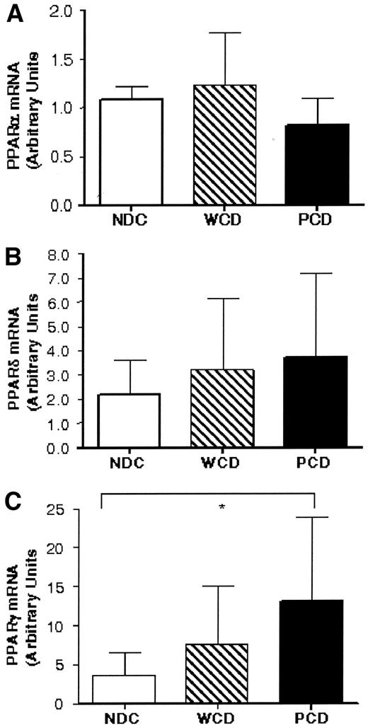 FIG. 5. Expression of PPAR α (A), PPAR δ (B), and PPARγ (C) mRNA in CD14+ monocytes from control subjects (NDC), well-controlled diabetic patients (WCD), and poorly controlled diabetic patients (PCD). The mRNA level was quantified using real-time RT-PCR; 12 (NDC), n = 16 (WCD), n = 16 (PCD). Data are expressed as means ± SD,*P < 0.05.