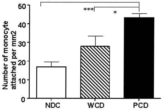 FIG. 6. Circulating monocyte adhesion to HAoEC. After being labeled with CMFDA, CD14+ monocytes from control subjects (NDC), well-controlled diabetic patients (WCD), and poorly controlled diabetic patients (PCD) were incubated in presence of HAoEC at 37°C for 45 min. After PBS washes, the numbers of attached monocytes per square millimeter were quantified on five randomly chosen fields, using an inverted microscope. Data are expressed as means ± SE. For monocyte adhesion experiments, n = 10 (NDC), n = 8 (WCD), n = 6 (PCD), ***P < 0.0005.
