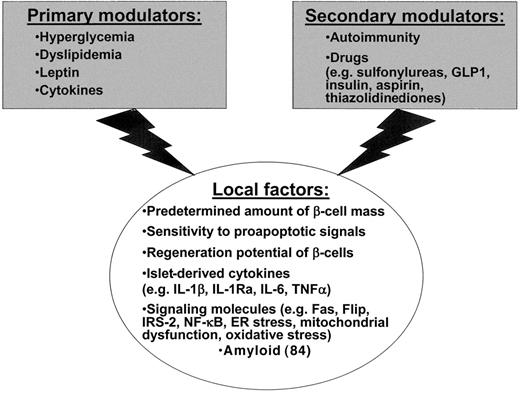 FIG. 4. Proposed model for mechanisms regulating β-cell mass in type 2 diabetes. Before onset of diabetes, insulin resistance may lead to transient postprandial hyperglycemic excursions. Other factors modulating β-cell mass may include dyslipidemia, leptin, and cytokines. Genetic predisposition to diabetes may include a predetermined amount of β-cell mass, as well as differences in the susceptibility to apoptotic signals and in the regenerative potential of the β-cell. Additionally, induction of local inflammatory mediators and cell death may activate the acquired immune system. Finally, drugs may protect or harm the β-cell. GLP1, glucagon-like peptide 1; IRS-2, insulin receptor substrate 2; TNFα, tumor necrosis factor-α.