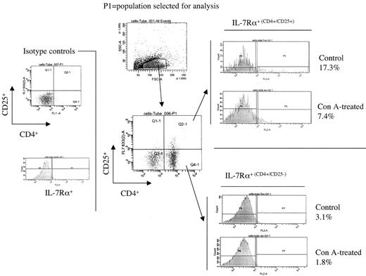 FIG. 4. CD4+ CD25+ T-cells from NOD mice express higher cell surface IL-7 receptor α-chain than CD4+ CD25− cells. Freshly isolated T-cells from 5- to 8-week-old NOD female mice exhibit higher IL-7 receptor α-chain in the CD4+ CD25+ population than in the CD4+ CD25− population. Column-enriched T-cells were stained with fluorescence-coupled antibodies to CD4, to CD25, and to the α-chain of the IL-7 receptor. FACS analysis was performed on cells with a forward/side scatter profile indicative of T-cells, and the levels of IL-7Rα were ascertained inside each of the quadrants in the CD4 CD25 subgate. These data are representative of three independent T-cell isolations.