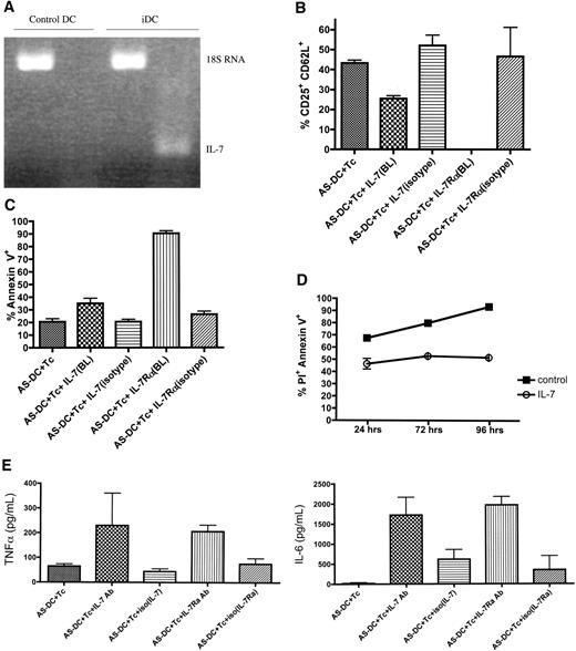 FIG. 5. A: iDCs, but not control dendritic cells from NOD mice, express IL-7. RT-PCR demonstrates that iDCs express detectable steady-state mRNA for IL-7 but that control, untreated dendritic cells do not. PCR products from cDNA were loaded and separated in a 2% agarose gel, stained with ethidium bromide, and visualized under ultraviolet light. PCR was performed for 45 cycles. As a positive control and to equalize the amount of RNA analyzed, 18S RNA was used as an internal standard. Dendritic cells propagated from bone marrow of five different pre-diabetic NOD mice and treated with the oligonucleotides all demonstrated IL-7 steady-state mRNA as shown, but none of five untreated dendritic cells from the same mice expressed IL-7 message. B: Blocking antibodies to IL-7 or IL-7Rα decrease the prevalence of CD4+ CD25+ T-cells in iDC:T-cell cocultures. Shown are the FACS data of CD25+ CD62L+ cells inside a CD4 gate, where the cells derive from dendritic cell:T-cell cocultures at the end of 5 days. AS-DC, antisense oligonucleotide–treated NOD dendritic cell; IL-7(BL), blocking antibody to the IL-7 cytokine; IL-7(isotype), IL-7 isotype–matched irrelevant antibody; IL-7Rα(BL), blocking antibody to the IL-7R α-chain; IL-7Rα(isotype), IL-7Rα isotype–matched irrelevant antibody; Tc, T-cells from freshly isolated NOD spleen. These data are representative of three independent experiments, each performed in triplicate. The error bars represent the SE. P < 0.01 between control cocultures and those in which blocking antibodies were added (ANOVA). C: Blocking antibodies to IL-7 or IL-7Rα increase the prevalence of apoptotic CD4+ CD25+ T-cells in iDC:T-cell cocultures. Shown are the FACSdata of annexin V+ cells inside a CD4+ CD25+ CD62L+ gate, where the cells derive from dendritic cell:T-cell cocultures at the end of 5 days. These data are representative of three independent experiments, each performed in triplicate. The error bars represent the SE. P < 0.05 between control cocultures and those in which blocking antibodies were added (ANOVA). D: Prevalence of apoptotic and dead CD4+ CD25+ CD62L+ T-cells derived from iDC:T-cell cocultures increases over time in the presence of blocking IL-7 antibodies. T-cells from the cocultures were first gated into CD4+ cells, and within this gate, CD25+ CD62L+ cells were then gated. Propidium iodide+ annexin V+ double-positive cells were determined inside this putative Treg population. Cells were removed from cocultures at the end of 24, 72, and 96 h incubation. These data are representative of two independent experiments in triplicate, and the error bars represent the SE. P < 0.001 between control cocultures and those treated with the blocking IL-7 antibody, at all time points (ANOVA). E: Blocking antibodies to IL-7 or IL-7Rα increases the production of tumor necrosis factor-α and IL-6 in iDC:T-cell cocultures. Cytokine production was assessed in coculture supernatant at the end of a 5-day incubation. These data are representative of three independent experiments, each performed in triplicate. The error bars represent the SE. P < 0.05 between control cocultures and those in which blocking antibodies were added (ANOVA).
