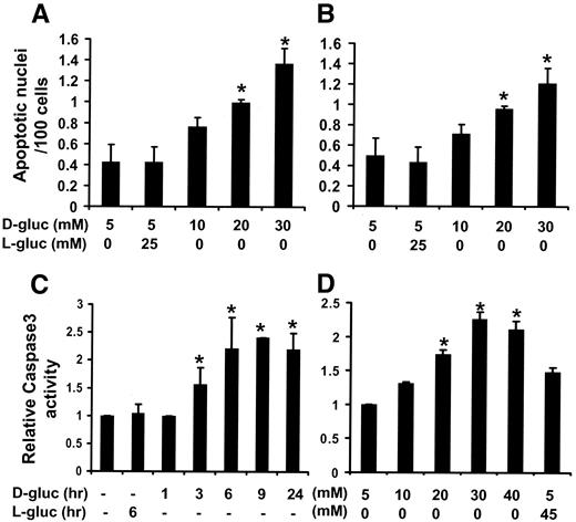FIG. 3. Increased apoptosis rate in in vitro–cultured murine podocytes incubated in 30 mmol/l d-glucose. Nuclear condensation was quantified via DAPI staining at increasing concentration of d-glucose (5, 10, 20, and 30 mmol/l) in undifferentiated podocytes (A) and differentiated podocytes (B). Caspase3 activity was measured via DB ApoAlert Caspase3 Fluorescent Assay kit at different time points in differentiated podocytes (C) and at increasing concentration of extracellular d-glucose (D) after 18 h of treatment. *P < 0.05.
