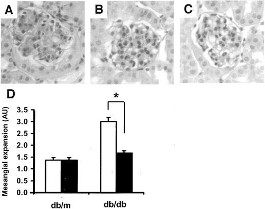 FIG. 7. Apocynin treatment blocks the development of mesangial expansion in db/db mice. A–C: PAS-stained kidney sections from 20-week-old control db/db (A), apocynin-treated db/db (B), and control db/m mice (C). D: Means ± SE of mesangial expansion scores in untreated (□) db/m and db/db mice and in apocynin-treated (▪) db/m and db/db mice. n = 8 mice/each genotype/each treatment group. *P < 0.05.