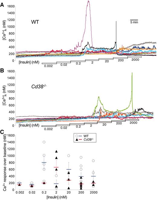 FIG. 3. Reduced sensitivity and amplitude of insulin-stimulated Ca2+ signals in Cd38−/− β-cells. A and B: Example traces of multiple cells in a representative experiment wherein dispersed islets cells were exposed to stepwise increases in insulin. The total number of cells studied was 271 for wild-type (WT) and 250 for Cd38−/−. C: Ca2+ response amplitudes and the insulin concentration at which the responses were initiated from a representative experiment. Cells from Cd38−/− islets responded less frequently to 0.2 nmol/l insulin, reflecting an apparent decrease in sensitivity. The mean Ca2+ response amplitude (cross bars ± SE) is given for each concentration of insulin.