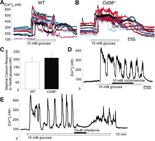 FIG. 6. Cd38 is not involved in glucose signaling in single β-cells. A and B: Example of multiple wild-type (WT) and Cd38−/− β-cells responding simultaneously to a stepwise increase from 3 to 10 mmol/l glucose. C: Quantification of baseline-substracted Ca2+ responses to 10 mmol/l glucose (wild-type, n = 368; Cd38−/−, n = 350). Glucose-stimulated Ca2+ signals were also not different when quantified using the area under the curve (data not shown). D: Ca2+ signals in response to 10 mmol/l glucose are not altered by acute exposure to 10 mmol/l nicotinamide, a CD38 antagonist, in β-cells from wild-type C57BL/6J mice (n = 28). E: Glucose-stimulated Ca2+ signals are abolished by 10 μmol/l nifedipine in β-cells from wild-type C57BL/6J mice (n = 10).