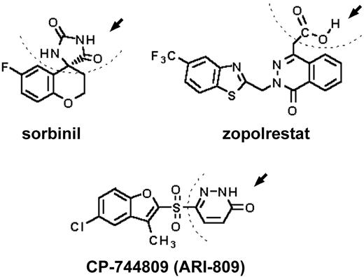 FIG. 1. Structure of ARI-809 compared with other classes of ARIs. Sorbinil is a representative of the spirohydantoin (broadly referred to as spiroimide) ARI class. The eponymous spirohydantoin substituent is the portion of the sorbinil molecule above the dotted line (arrow). Zopolrestat is a representative of the carboxylic acid ARI class. The carboxylic acid moiety is indicated by the atoms above the dotted line (arrow). ARI-809 contains neither a spirohydantoin nor a carboxylic acid substituent but is characterized by a pyridazinone group, denoted by those atoms to the right of the dotted line (arrow).