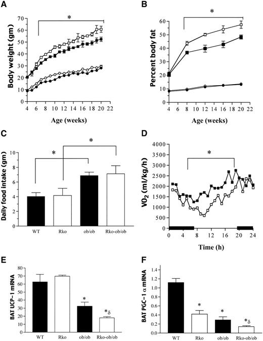 FIG. 1. Effects of resistin deficiency on body weight (A), fat (B), food intake (C), oxygen consumption (D), and BAT UCP-1 (E) and PGC-1α (F) expression. A, B, and D: Male wild-type (•), Rko (○), ob/ob (▪), and Rko-ob/ob (□) mice. Bars in panel D represent the dark period. Data are the means ± SE, n = 6–8. A–D: *P < 0.001 vs. Rko-ob/ob mice. E and F: *P < 0.0001 vs. wild-type mice; *δP < 0.05 vs. ob/ob mice. WT, wild type.