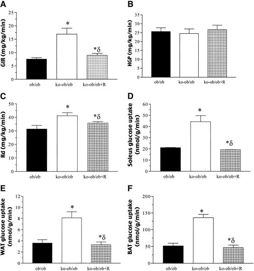 FIG. 3. Hyperinsulinemic-euglycemic clamp in ob/ob, Rko-ob/ob, and Rko-ob/ob mice infused with vehicle or recombinant murine resistin (+R). Data are the means ± SE, n = 6. *P < 0.01 vs. ob/ob mice; δP < 0.05 vs. Rko-ob/ob mice. ko, knockout; WAT, white adipose tissue.