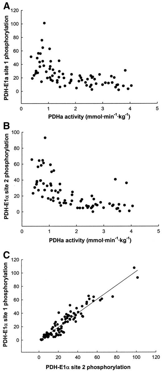 FIG. 4. A: Relationship between PDH-E1α site 1 phosphorylation and PDHa activity. B: Relationship between PDH-E1α site 2 phosphorylation and PDHa activity. C: Relationship between PDH-E1α site 1 and 2 phosphorylation. Significant coefficients were found with linear (r2 = 0.34 and 0.40) and exponential regression (r2 = 0.43 and 0.46) for PDH-E1α site 1 (A) and PDH-E1α site 2 (B), respectively. A close linear correlation (r2 = 0.89) was evident between PDH-E1α site 1 and 2 phosphorylation.