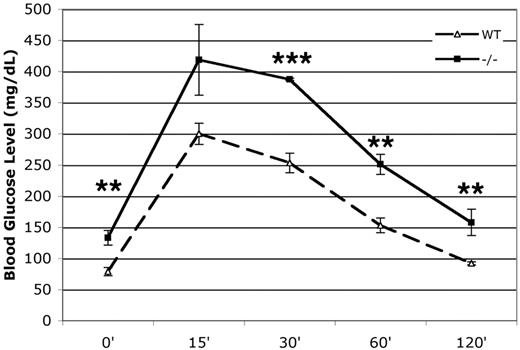 FIG. 4. p27−/− are glucose intolerant. Glucose tolerance tests were performed after an injection of 2 g/kg glucose in 10- to 12-week-old overnight-fasted mice (n = 5 per genotype; data are expressed as means ± SE). *P < 0.05; **P < 0.01; ***P < 0.005.
