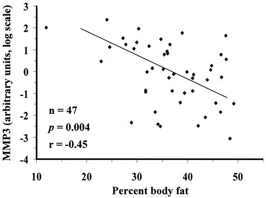 FIG. 2. Relationship between MMP3 mRNA levels and percent body fat, adjusted for age and sex. MMP3 gene expression levels were measured by real-time quantitative PCR in preadipocytes/stromal vascular cells isolated from 47 nondiabetic Pima Indians, representing a range in percent body fat. Messenger RNA levels, measured in triplicate, were normalized using GAPDH as the endogenous control, after first plotting raw GAPDH levels against percent body fat to establish that there was no relationship between GAPDH and percent body fat in these 47 subjects (r = 0.04).
