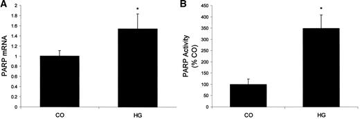 FIG. 2. High levels of glucose increased PARP mRNA (A) and PARP activity (B) (control [CO] = 5 mmol/l glucose; high glucose [HG] = 25 mmol/l glucose). PARP activity was measured as cpm/20 μg protein and expressed relative to control. *P < 0.05 compared with controls.