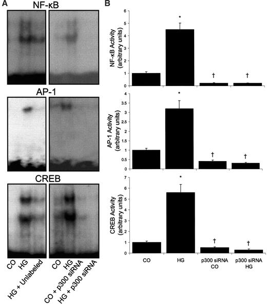 FIG. 4. Transcription factor activity and the effect of p300 inhibition. A: Specificity of the activation was demonstrated by competition experiments performed using 100-fold excess unlabeled nucleotides corresponding to specific binding sequences binding sequences (HG + Unlabled). B: Semiquantitative analysis of the transcription factor activity. *P < 0.05 compared with controls; †P < 0.05 compared with respective negative control transfections. CO, control; HG, high glucose.