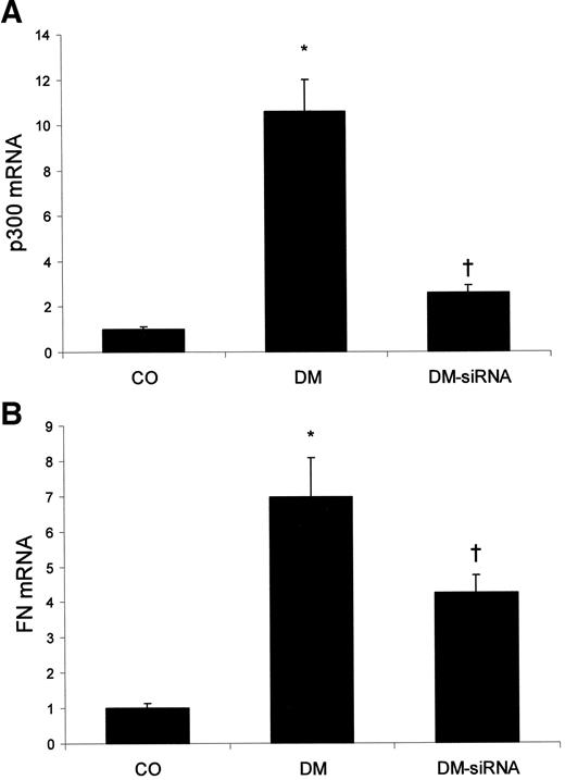 FIG. 6. Diabetes-induced cardiac p300 (A) and fibronectin (FN) (B) mRNA levels and the effect of intravenous p300 siRNA injection. CO, nondiabetic controls; DM, diabetic animals treated with scrambled siRNA; DM-siRNA, diabetic animals treated with p300 siRNA. *P < 0.05 compared with controls; †P < 0.05 compared with DM.