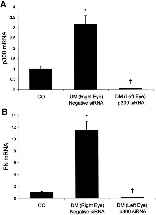 FIG. 7. Diabetes-induced retinal p300 (A) and fibronectin (FN) (B) mRNA levels and the effect of intravitreal p300 siRNA injection. *P < 0.05 compared with controls (CO); †P < 0.05 compared with negative control siRNA. DM, diabetic animals.
