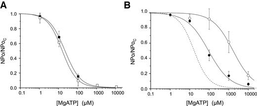 FIG. 1. A: Mean ATP concentration-inhibition relationships for KATP currents in INS-1 cells stably transfected with wild-type Kir6.2 before (▪, n = 7) and after (□, n = 7) induction of expression with 50 ng/ml tetracycline. The curves are the best fit of the Hill equation to the mean data with IC50 = 20 μmol/l, h = 1.1 (▪), and with IC50 = 15 μmol/l, h = 1.3 (□). B: Mean ATP concentration-inhibition relationships for KATP currents in INS-1 cells stably transfected with Kir6.2-R201H before (•, n = 6) and after (○, n = 4) induction with tetracycline. The curves are the best fit of the Hill equation to the mean data with IC50 = 92 μmol/l, h = 0.79 (•), and with IC50 = 1.7 mmol/l, h = 0.84 (○). The dashed line indicates the concentration-inhibition curves for wild-type channels shown in A.