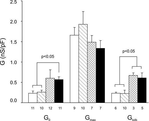 FIG. 2. Mean KATP conductances recorded from INS-1 cells expressing wild-type Kir6.2 in the absence (□) or presence () of tetracycline, or expressing Kir6.2-R201H in the absence () or presence (▪) of tetracycline. The number of cells is given below the columns. G, conductance; G0, resting conductance, recorded in the perforated-patch configuration in glucose-free external solution; Gmax, maximal KATP conductance, recorded in the standard whole-cell configuration after ATP washout; Gtolb, KATP conductance, recorded in the standard whole-cell configuration after ATP washout, in the presence of 0.5 mmol/l tolbutamide.